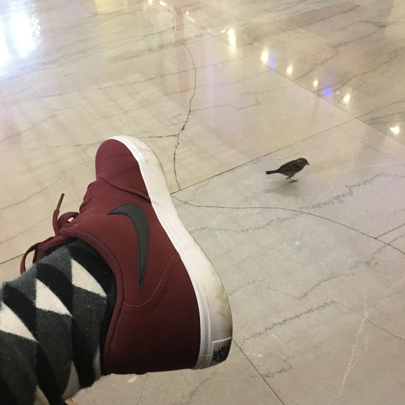 Station birb